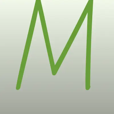 Мастер шин, шиномонтажная мастерская, лого-визитка